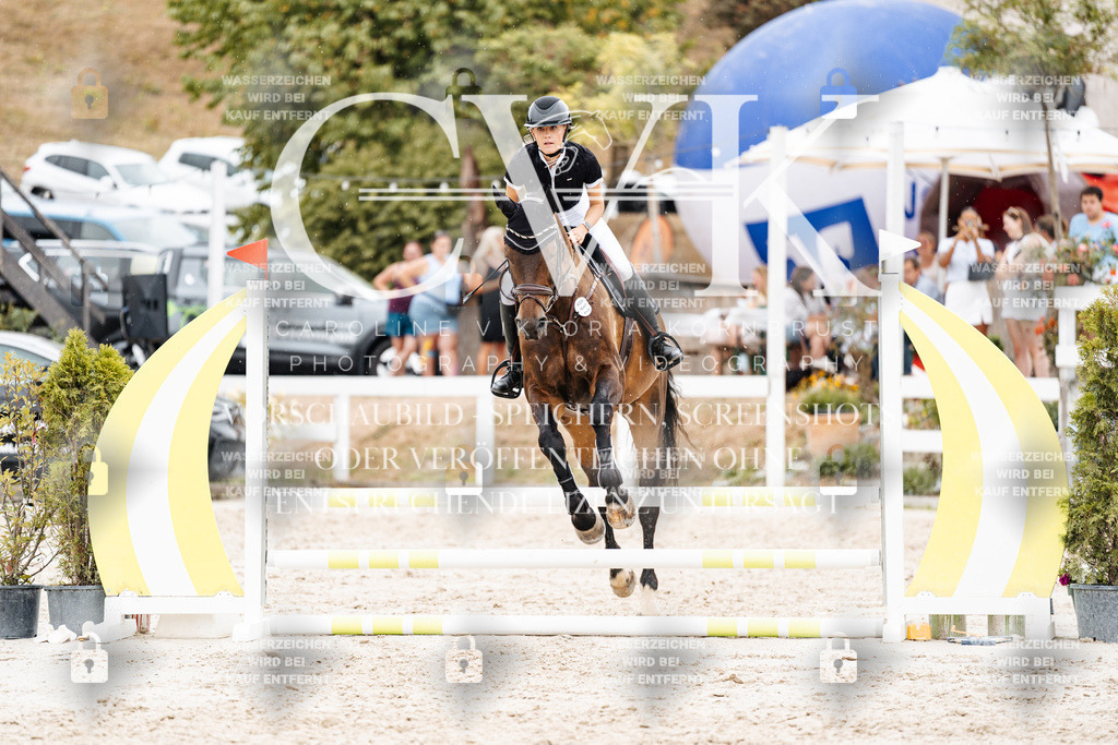 CK908492 | Turnierfotografie Pferdefotografie Trier Rheinland-Pfalz Pferdesport Reitsport Tierfotografie Sportfotografie Pferdevideo Pferdevideografie Equestrianvideography equestrianphotography  - Realisiert mit Pictrs.com