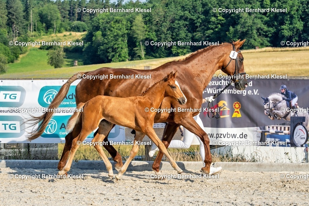 A1S07352 | foto-team-bernhard - Realisiert mit Pictrs.com