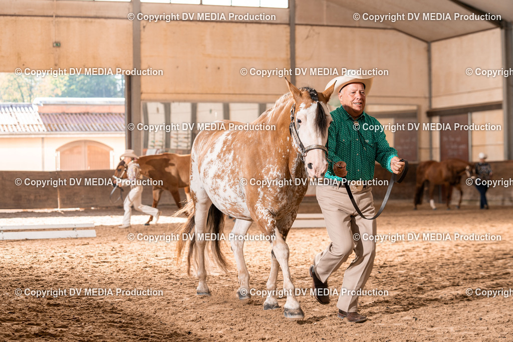 LM Heiligenwald Tag 1-142 | dv-media-shop - Realisiert mit Pictrs.com