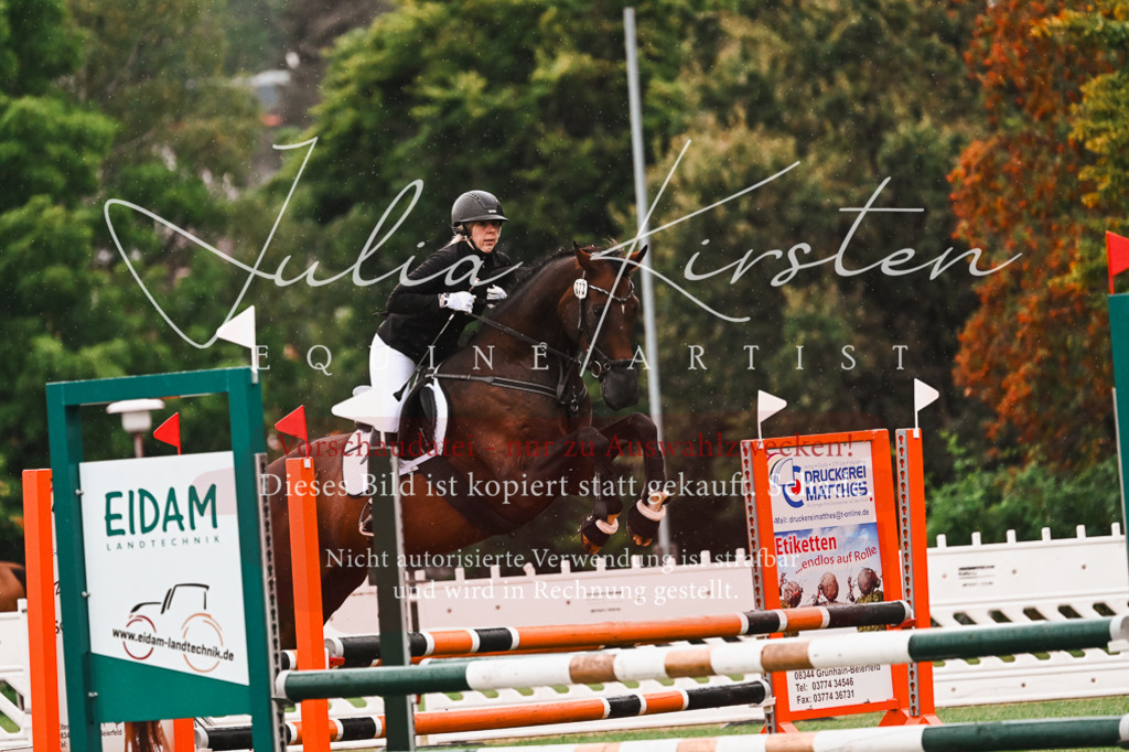 DSC_6566 | Pferde- und Turnierfotografie in Westsachsen. Pferdeportraits, Auftragszeichnungen und intuitive Kunst.