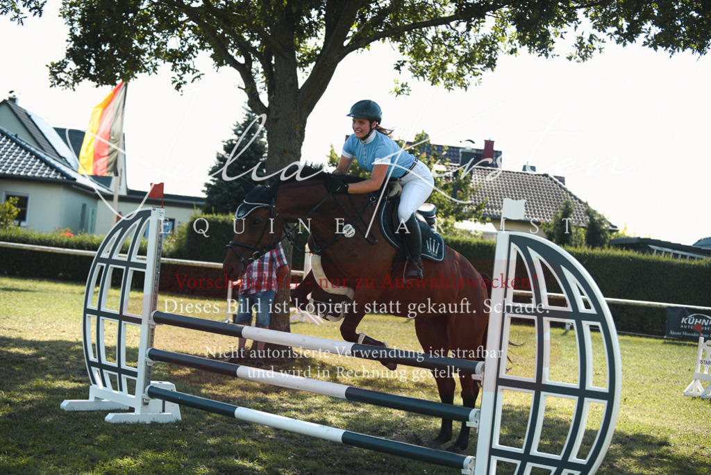 DSC_7138 | Pferde- und Turnierfotografie in Westsachsen. Pferdeportraits, Auftragszeichnungen und intuitive Kunst.
