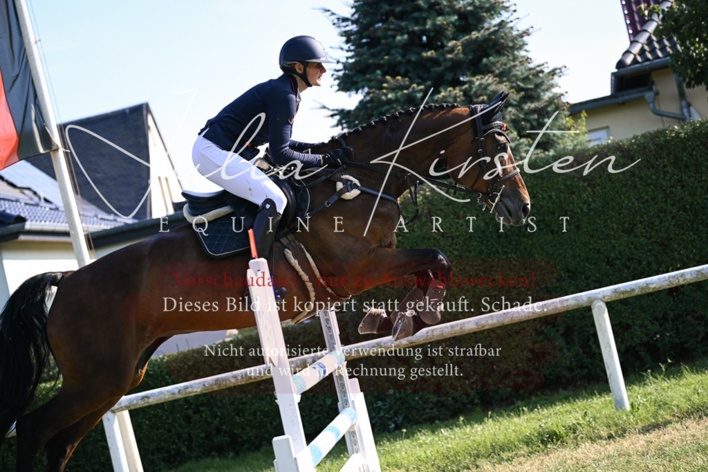 DSC_1646 | Pferde- und Turnierfotografie in Westsachsen. Pferdeportraits, Auftragszeichnungen und intuitive Kunst.