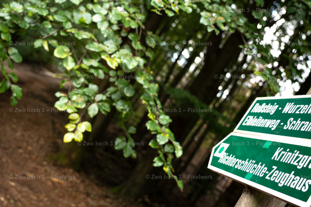 Fremdenweg_Katzenstein_Wegweiser_Buche_Zweig | 2022-08-30_Waldbrandgebiete_1 - Realisiert mit Pictrs.com