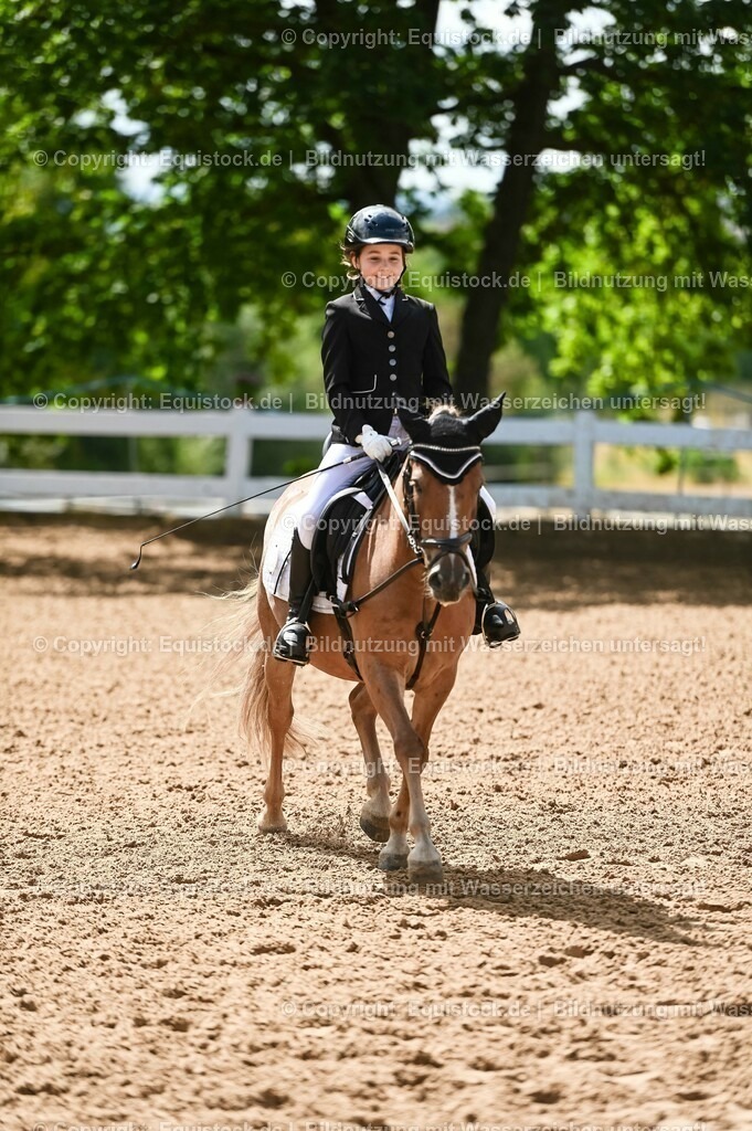 20230716_10-3_Reiter-WB Schritt - Trab - Galopp_0030 | equistock