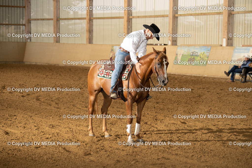 LAU00985 | dv-media-shop - Realisiert mit Pictrs.com