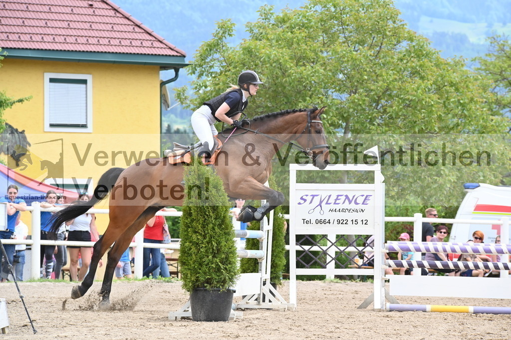 DSC_8452 | equestrian-live-com