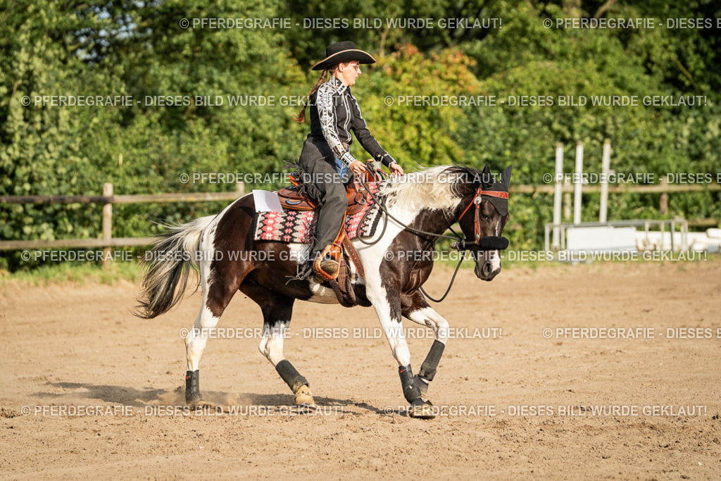 DSC05470 | Pferdegrafie