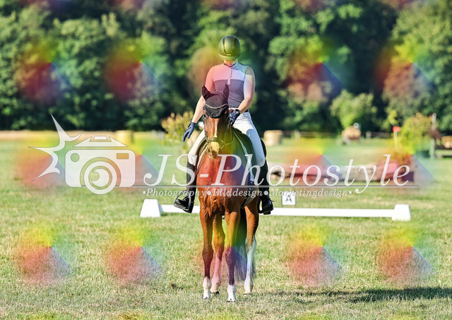 20260628_14a_VA_Dressur-11 | JS-Photostyle - Sport-/Portrait- & Eventfotografie