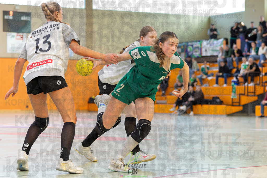 Jugendbundesliga wJA, Pokalrunde, HSG Kleenheim/Langgöns - Frisch Auf Göppingen | Jugendbundesliga wJA, Pokalrunde, HSG Kleenheim/Langgöns - Frisch Auf Göppingen am 28.02.2026 in Oberkleen (Weidig-Halle)Photo © 2026 - Jörg Heinrich - Realisiert mit Pictrs.com