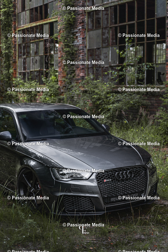 _DSC4275 | Passionate Media, dein Fotograf aus Brandenburg, Märkisch Oderland, im Bereich Motorsport, Autos und Motorräder sowie Events und auch Hunde. Shootings oder auch Eventbegleitungen können bei mir gebucht we