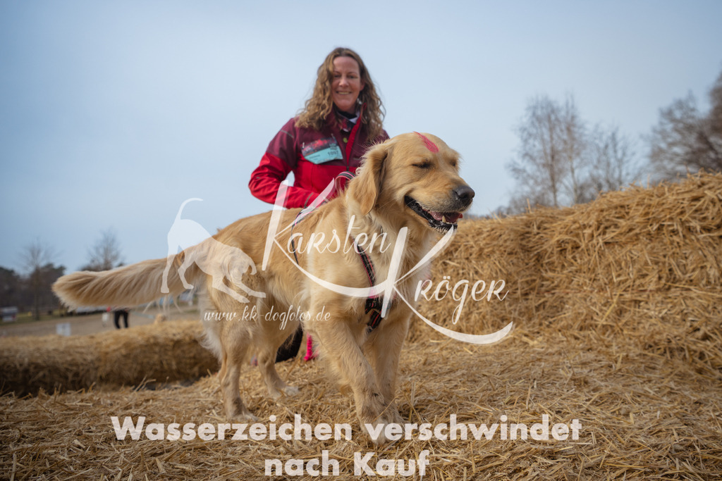 1010_ZZ92825 | kk-dogfotos
