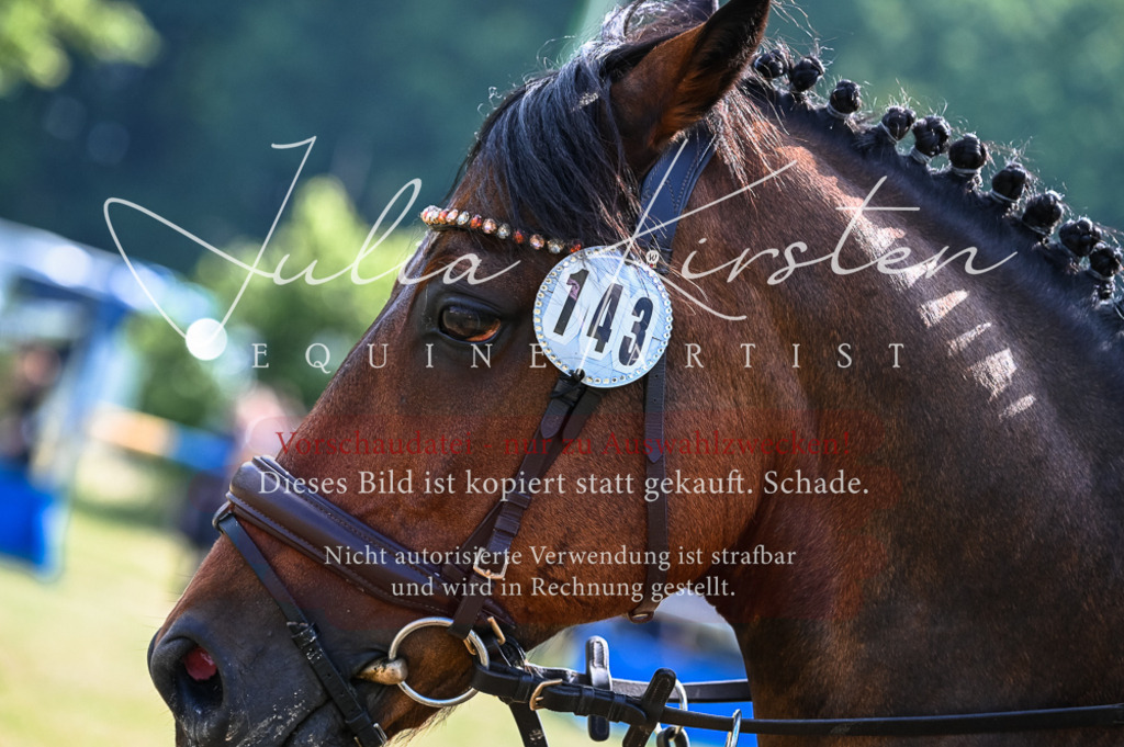 DSC_7995 | Pferde- und Turnierfotografie in Westsachsen. Pferdeportraits, Auftragszeichnungen und intuitive Kunst.