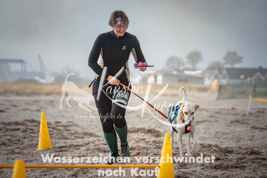 1136_ZZ99642 | kk-dogfotos