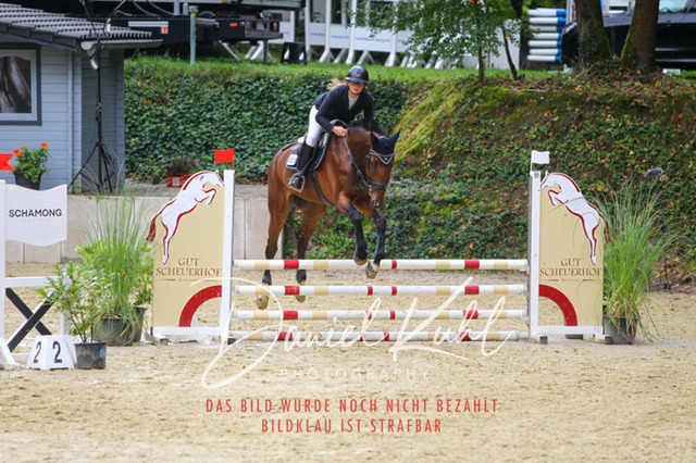 DKP40247 | Turniersportfotografie; Pferdefotografie; Dressurfotografie