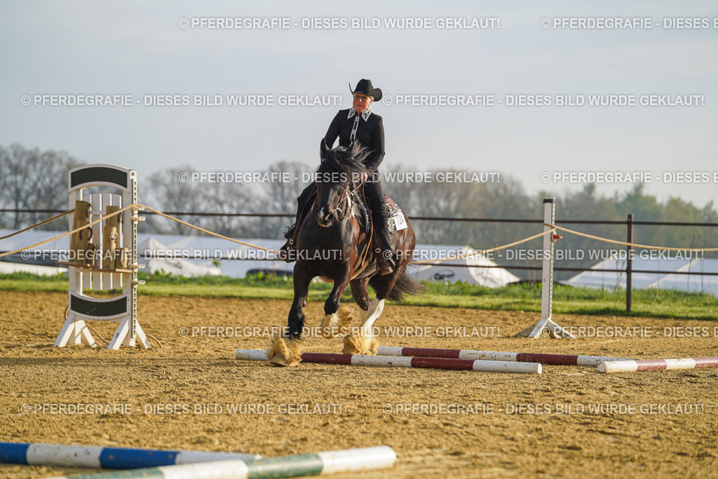 DSC09937 | Pferdegrafie