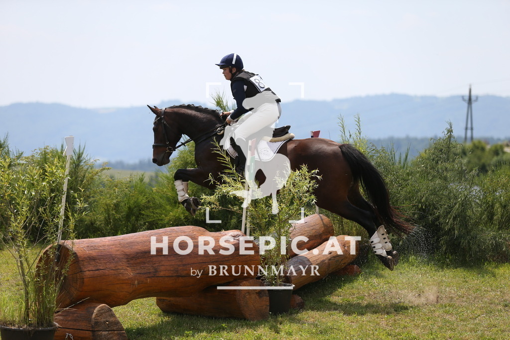 DL2Q2384 | Willkommen bei Brunnmayr - Design & Fotografie – Ihrem Spezialisten für Reitturniere und Pferdeveranstaltungen in Oberösterreich, Salzburg und Bayern! Seit über 17 Jahren sind wir leidenschaftlich dabei.