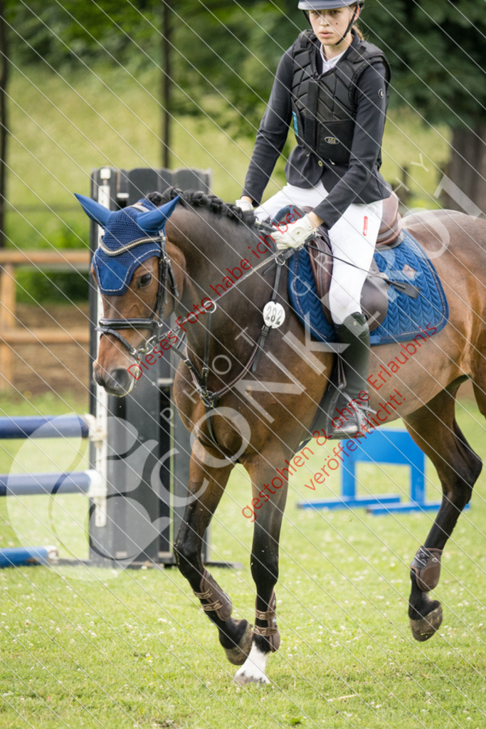 IMG_2556 | Sport-, Event- und Tierfotos in Profiqualität. Einfach auswählen, bestellen und herunterladen. Dein Moment – perfekt festgehalten.