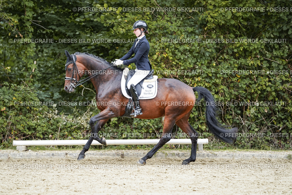 DSC01992 | Pferdegrafie