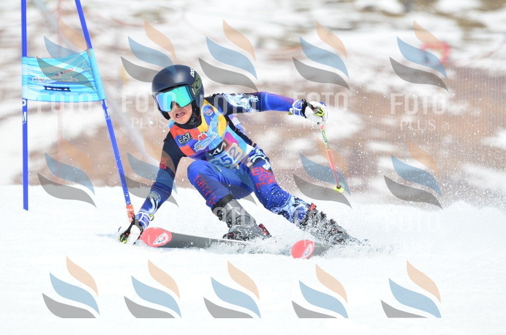 _ELE2692 | holidayphoto