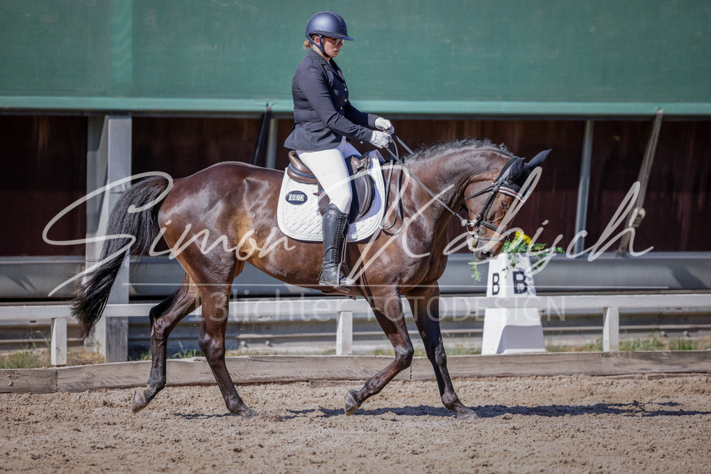 20250906-_3LI3608 | Tierfotografie Pferde, Hunde, Katzen, Haustiere.
Turnierfotografie Reitturniere, Reiten, Springreiten, Dressur in Hanau, dem Main-Kinzig-Kreis und dem Rhein-Main- Gebiet um Frankfurt