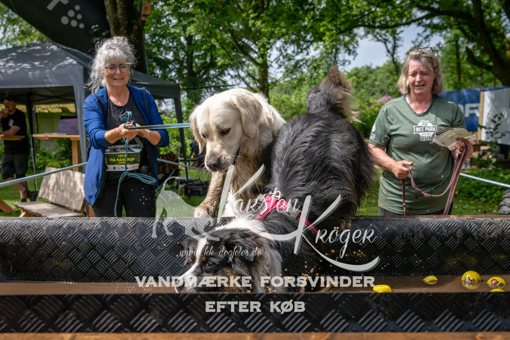 1124_ZZ94089 | kk-dogfotos