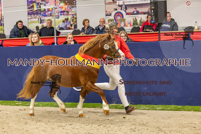 KWESR (113 von 688) | mandyhollmannphotographie