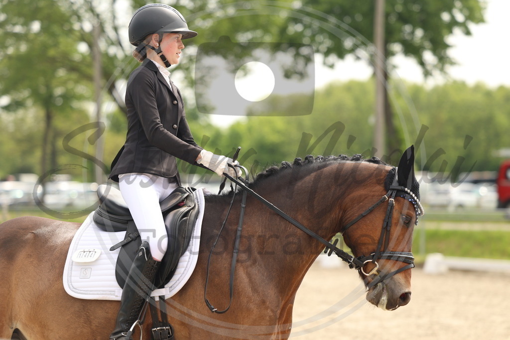 994A6906 | sabrinanicolaifotografie - Realisiert mit Pictrs.com