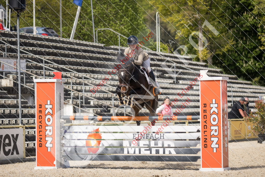 IMG_4624 | Sport-, Event- und Tierfotos in Profiqualität. Einfach auswählen, bestellen und herunterladen. Dein Moment – perfekt festgehalten.