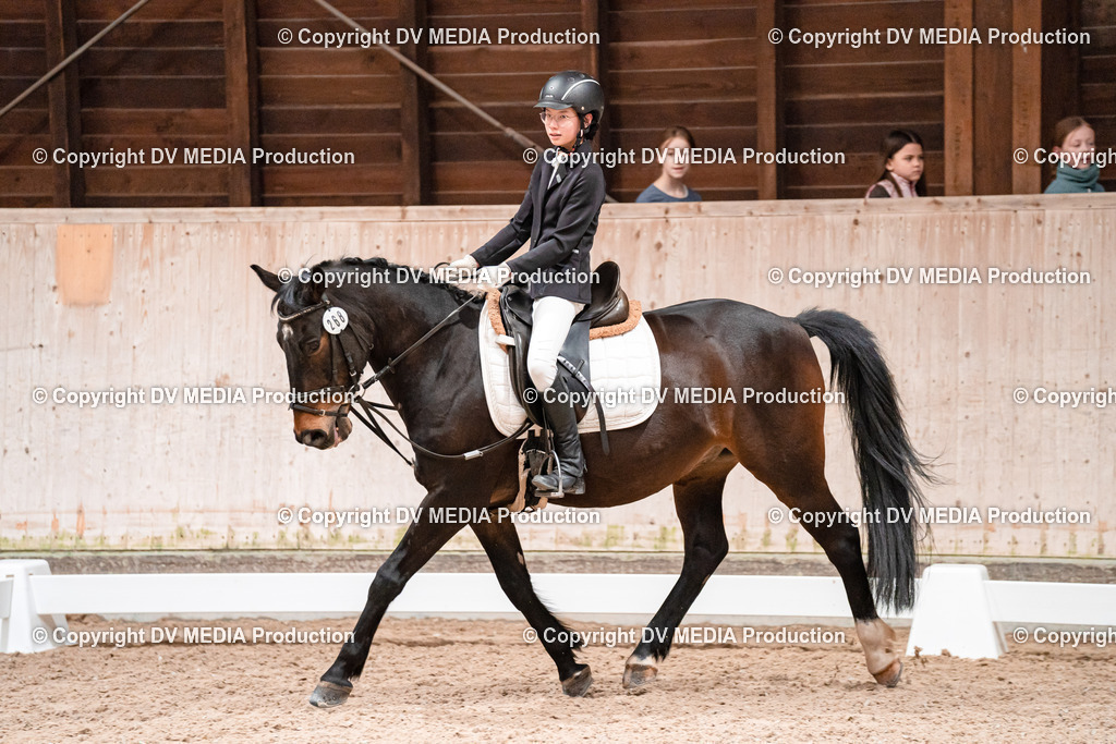 Dressur Tag 2-460 | dv-media-shop - Realisiert mit Pictrs.com