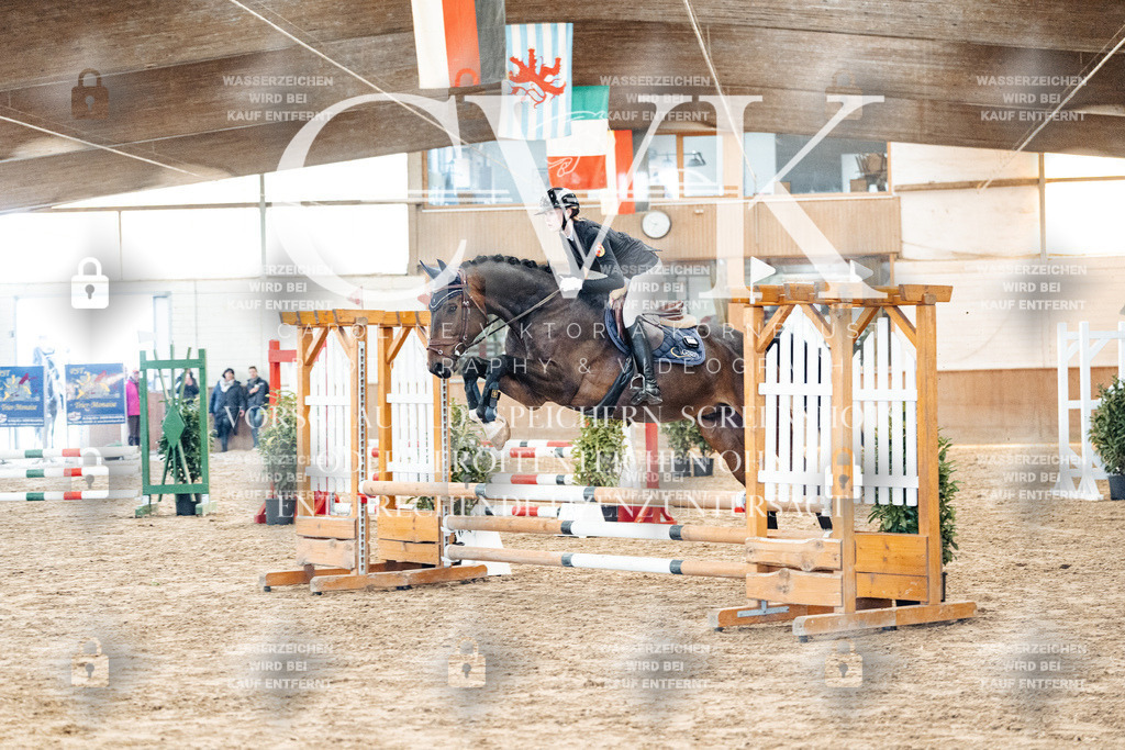 CK903803 | Turnierfotografie Pferdefotografie Trier Rheinland-Pfalz Pferdesport Reitsport Tierfotografie Sportfotografie Pferdevideo Pferdevideografie Equestrianvideography equestrianphotography  - Realisiert mit Pictrs.com