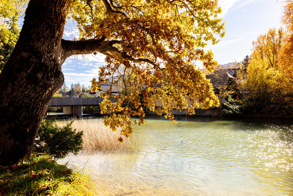 Herbst am Wolfgangsee | Ihre Fotografin im Lungau, ihre Fotografin im Mostviertel, Wandbilder Onlineshop, Imagefotos für Ihr Unternehmen,  - Realisiert mit Pictrs.com