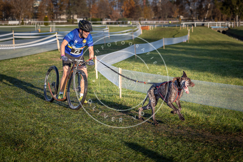 CaniXpix_0L8A3364 | Hundefotografie, Tierfotograf, Pfotenfotografie, Fotoshooting Hund, Hunde Portrait, Hundesport, Hundeportraits, Heideshooting, Hunde, Sportfotograf, Hundefotograf, Turnierhundsport, THS,  - Realisiert mit Pictrs.com