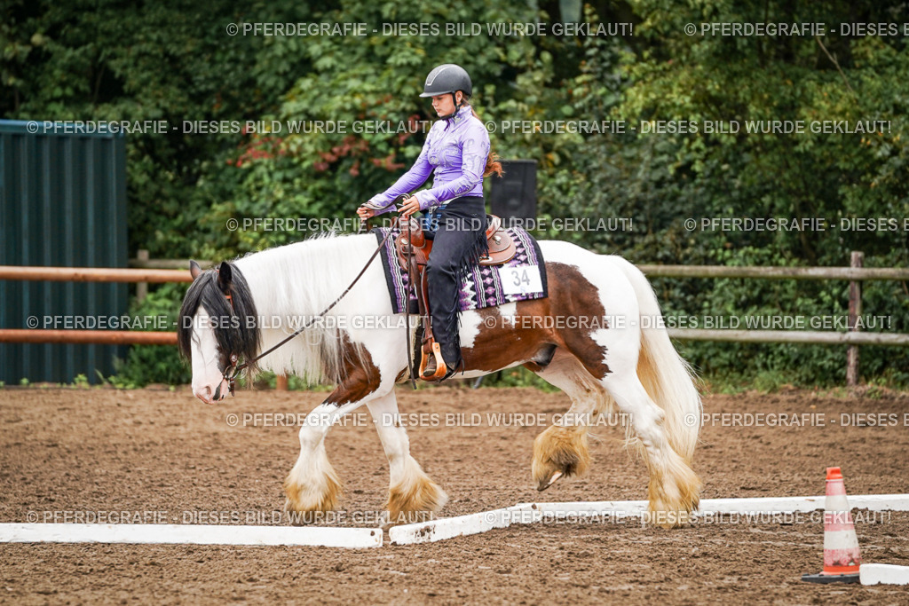 DSC03432 | Pferdegrafie