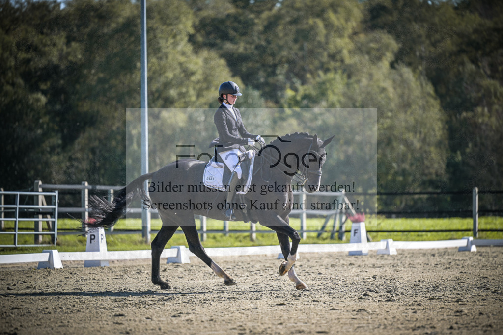 DOS_2444 | Entdecke hochwertige Reitturnierfotos von Foto Oger. Professionell, emotional und authentisch – jetzt Lieblingsmomente im Shop bestellen.Deutschlandweite Turnierfotografie. - Realisiert mit Pictrs.com