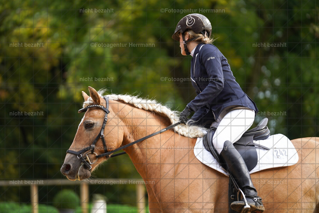 20221009-FAH08451 | Diessen am Ammersee, 2022, Dressur- und Springturnier, Reitsportbilder, Turnierfotografen Bayern, Pferdefotografen, Fotoagentur Herrmann, Turnierbilder