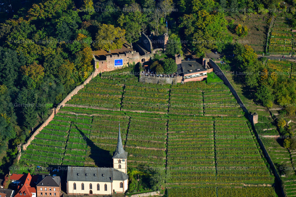3491148 | Weinberg an der Clingenburg,  Klingenberg