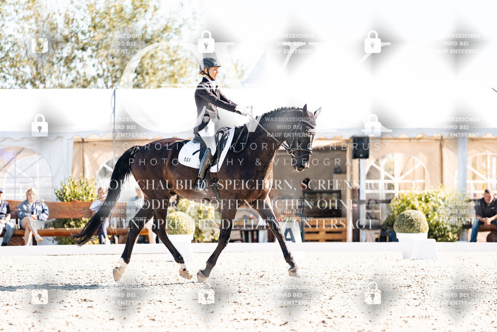 CK908873 | Turnierfotografie Pferdefotografie Trier Rheinland-Pfalz Pferdesport Reitsport Tierfotografie Sportfotografie Pferdevideo Pferdevideografie Equestrianvideography equestrianphotography  - Realisiert mit Pictrs.com