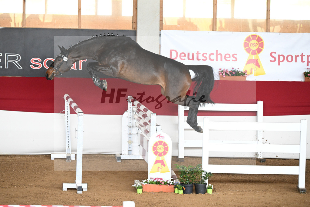 Kat-Nr. 44 Uma v. Uno I_Volkert_9240868 | hf-fotografie - Realizzato con Pictrs.com