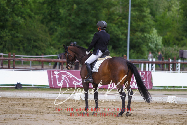 DKP40774 | Turniersportfotografie; Pferdefotografie; Dressurfotografie