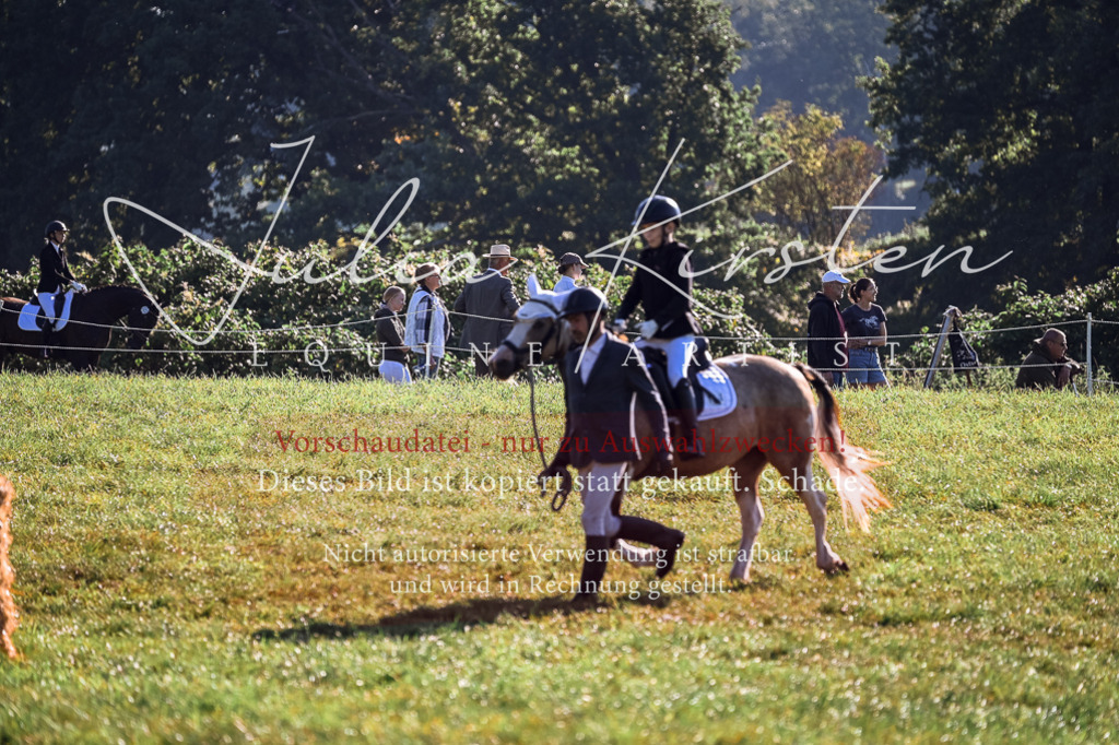 DSC_0325 | Pferde- und Turnierfotografie in Westsachsen. Pferdeportraits, Auftragszeichnungen und intuitive Kunst.