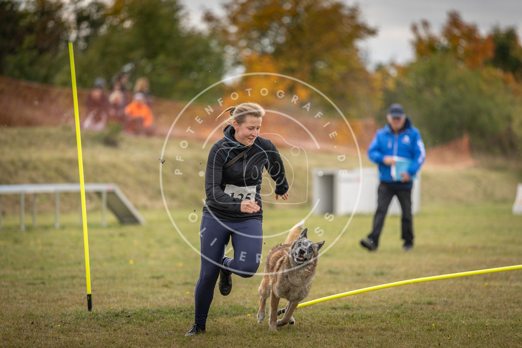Pfotenfotografie_DV3A6928 | Hundefotografie, Tierfotograf, Pfotenfotografie, Fotoshooting Hund, Hunde Portrait, Hundesport, Hundeportraits, Heideshooting, Hunde, Sportfotograf, Hundefotograf, Turnierhundsport, THS,  - Realisiert mit Pictrs.com