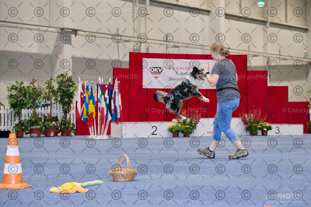 202406_ÖKV-IHA-Tulln24_NZ9_7701 | proPHOTO - Realisiert mit Pictrs.com