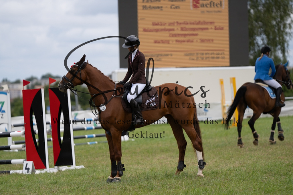 A7V05604 | Pferdefotograf