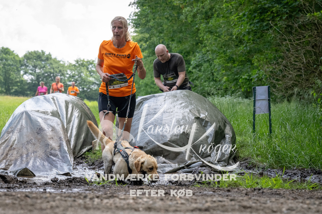 1142_ZZ94056 | kk-dogfotos