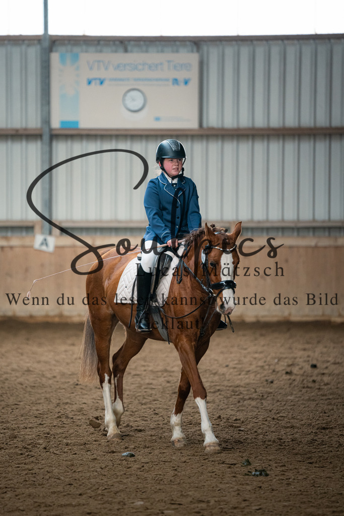 A7V04995 | Pferdefotograf