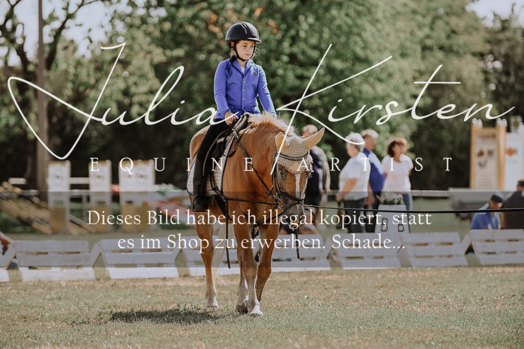 DSC_7528 | Pferde- und Turnierfotografie in Westsachsen. Pferdeportraits, Auftragszeichnungen und intuitive Kunst.