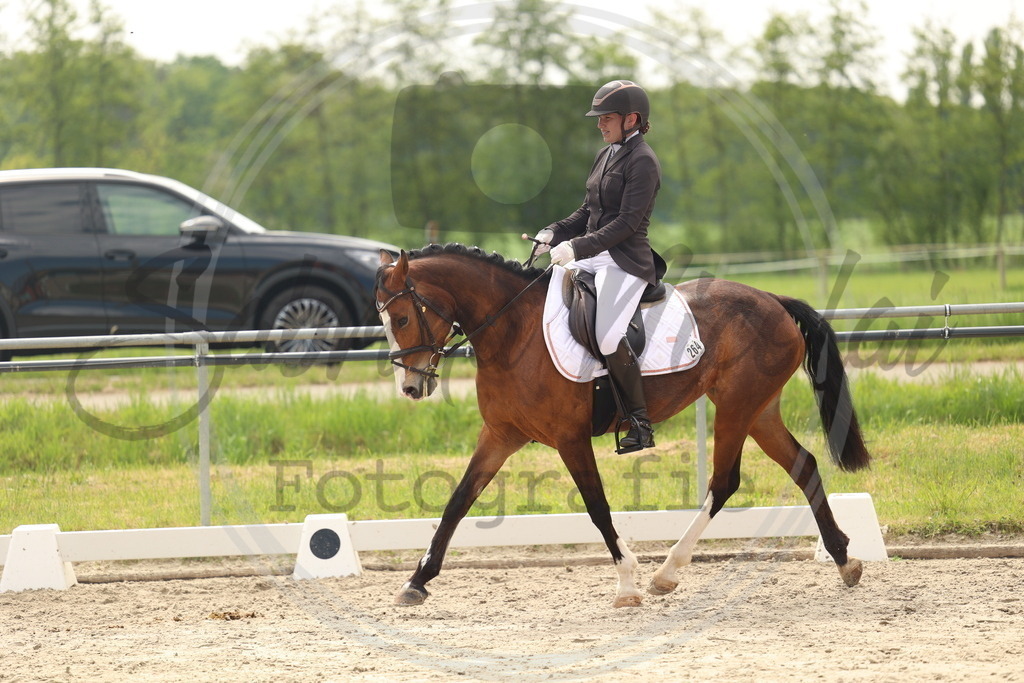 994A6925 | sabrinanicolaifotografie - Realisiert mit Pictrs.com