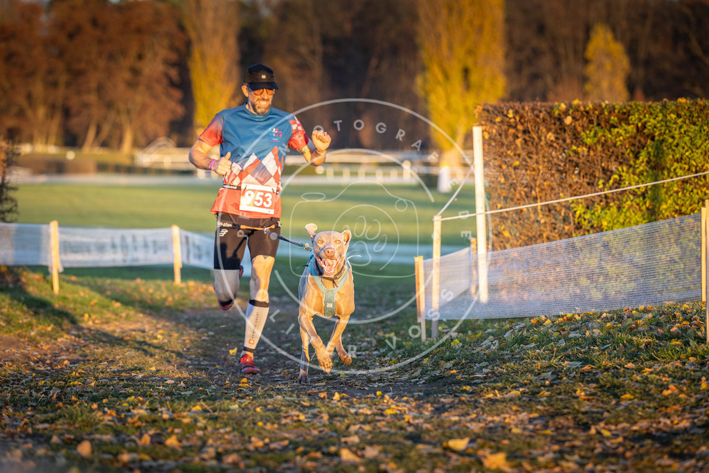 CaniXpix_DV3A5670 | Hundefotografie, Tierfotograf, Pfotenfotografie, Fotoshooting Hund, Hunde Portrait, Hundesport, Hundeportraits, Heideshooting, Hunde, Sportfotograf, Hundefotograf, Turnierhundsport, THS,  - Realisiert mit Pictrs.com