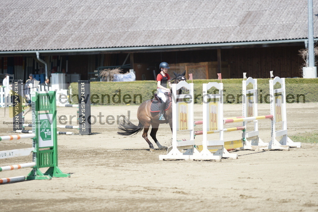 DSC02925 | equestrian-live-com