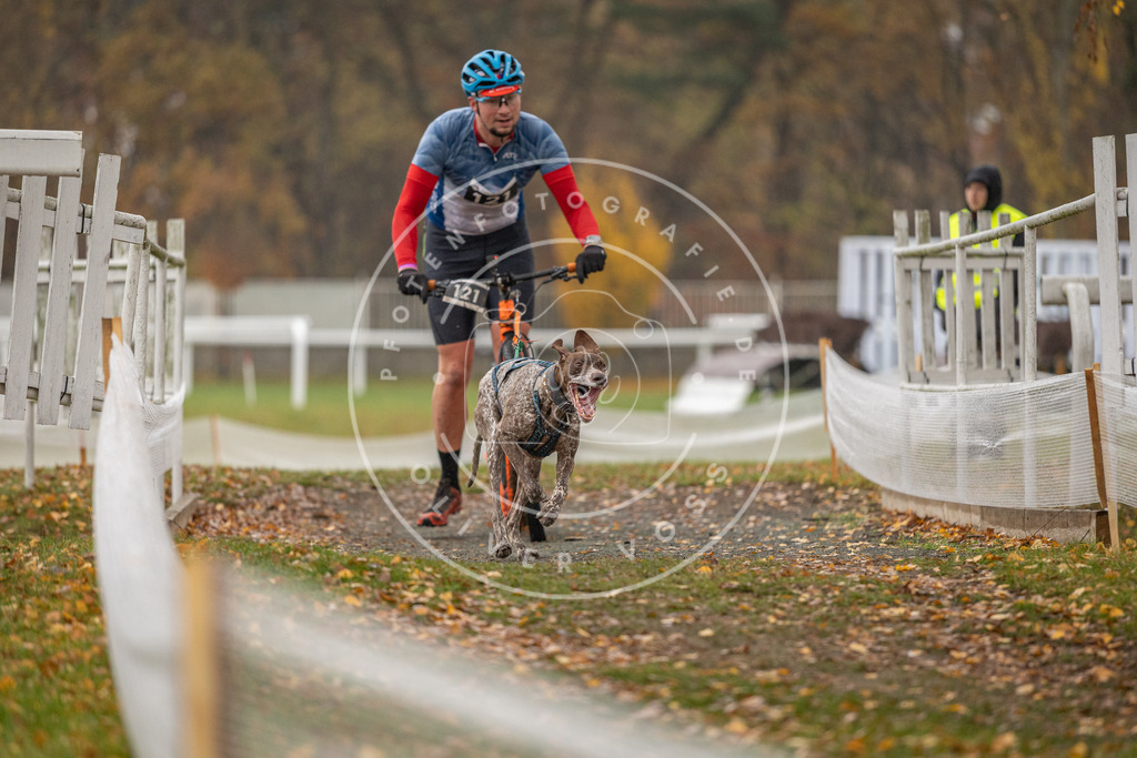 CaniXpix_DV3A8251 | Hundefotografie, Tierfotograf, Pfotenfotografie, Fotoshooting Hund, Hunde Portrait, Hundesport, Hundeportraits, Heideshooting, Hunde, Sportfotograf, Hundefotograf, Turnierhundsport, THS,  - Realisiert mit Pictrs.com